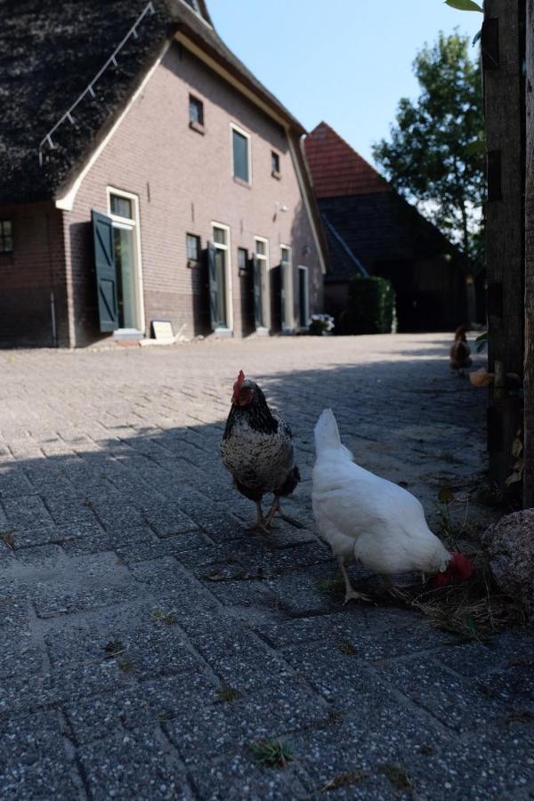 Bed and Breakfast Onder De Appelboom Garminge Exterior foto